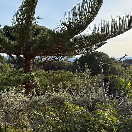 Carpe Diem Le Lavandou