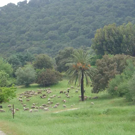 Carpe Diem Lejlighed