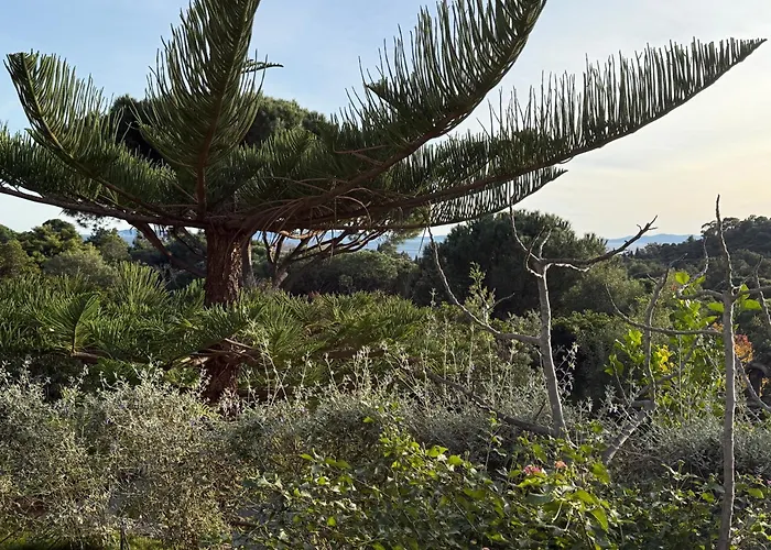 Carpe Diem Le Lavandou