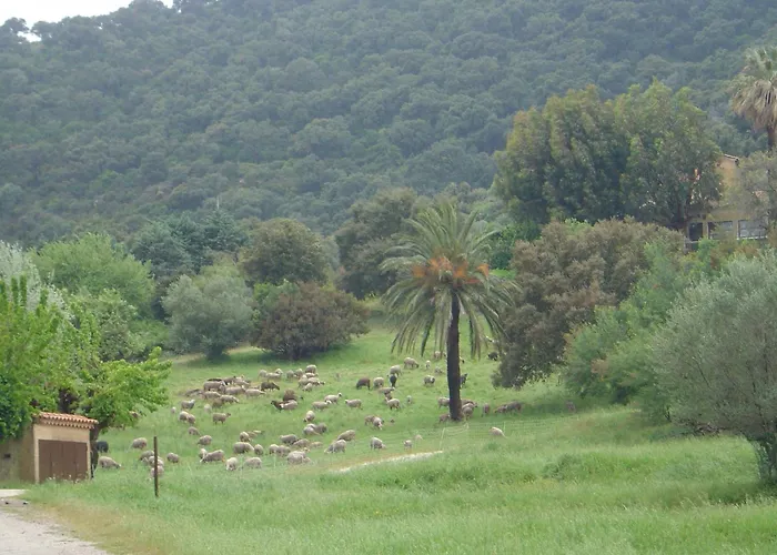 Carpe Diem Lejlighed