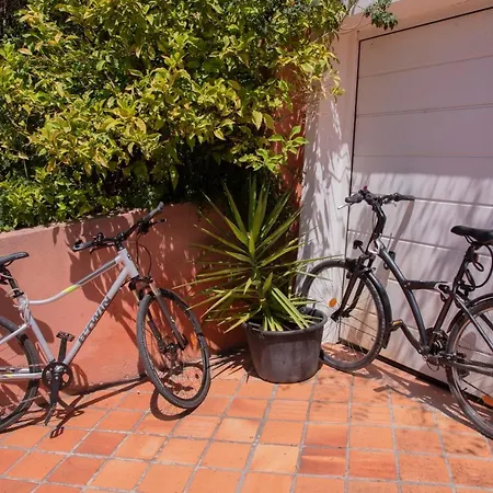 Апартаменти Carpe Diem