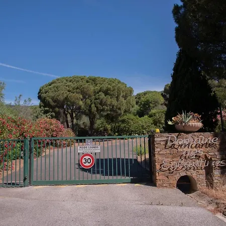 Carpe Diem * Ле-Лаванду