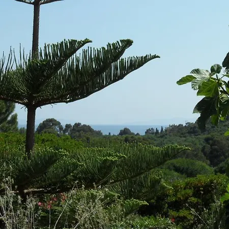 Апартаменти Carpe Diem Ле-Лаванду