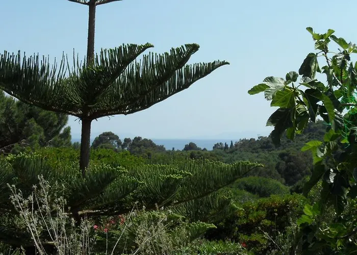 Lägenhet Carpe Diem Le Lavandou