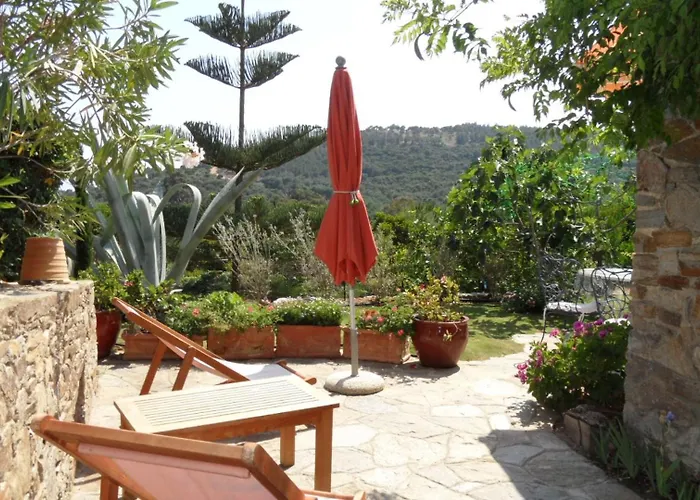 Carpe Diem Le Lavandou